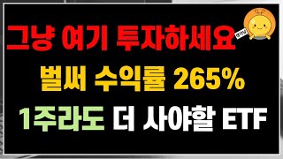 벌써 수익률 256%!! 1주라도 더 사 모아야 할 ETF 📈 | 든든한 노후준비 👍
