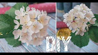 : DIY soli4ka_s   /   / crepe paper hydrangea