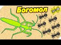 ПРИВЕТ БОГОМОЛ! - Pocket Ants Симулятор Колонии