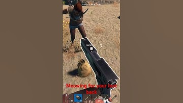 #rust #gaming #funny #memes #games #pvp  #kittensmeowing