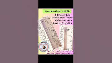 #specialized #cell #foldables #biology #biologynotes #biologyteacher #biologystudents #biologyclass