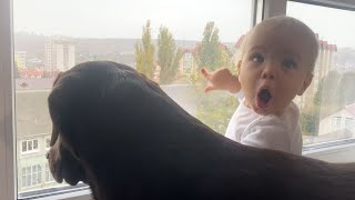 So Funny! Baby Boy And His Dog React To Rainy Day.