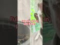 20 விசில் போட்டும் கறி வேகவில்லை… இணையத்தில் வைரல் ஆன சம்பவம்