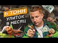 Улиточная ферма в Жмеринке. Как зарабатывают на разведении улиток в Украине? Соль Земли. Все Свои #5