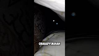 Жилец под твоим одеялом!