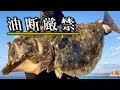 こういう場所ではタモ入れ必須の大物がよく釣れる【初心者向け】万能ルアーでヒラメ釣り