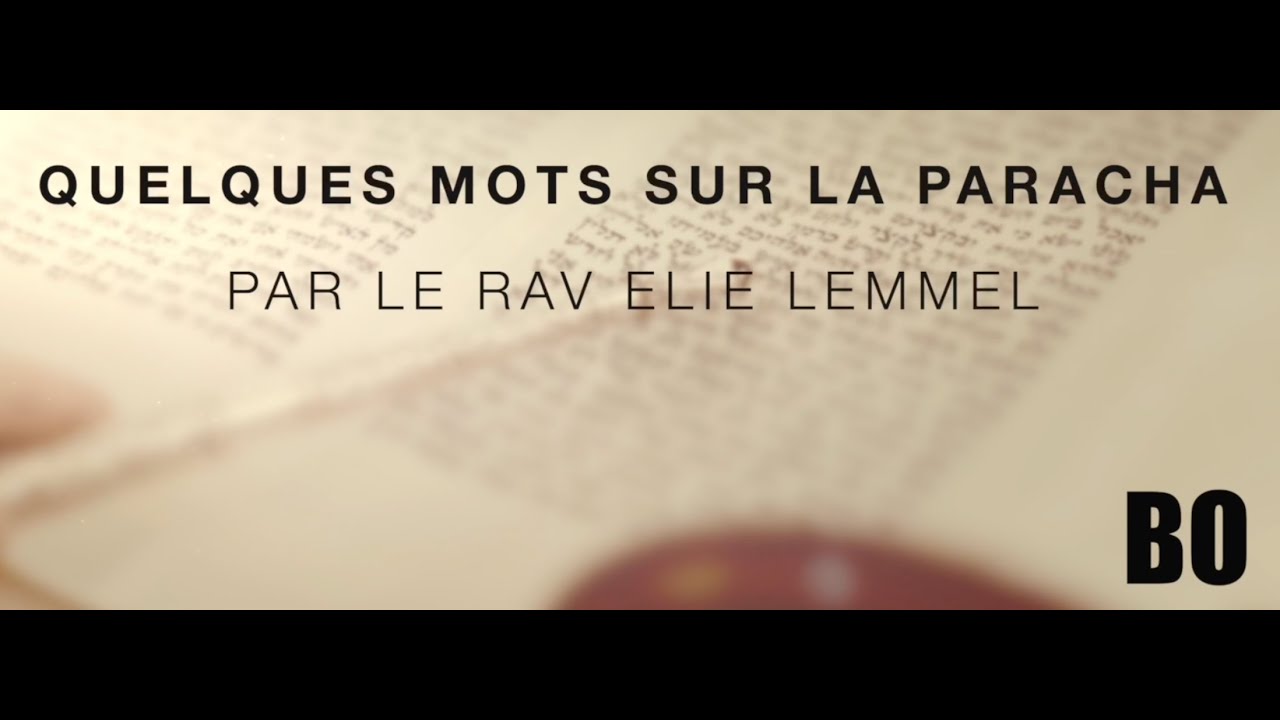 La recette des matzot... !? Rav Élie Lemmel - Parasha Bo