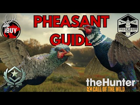 Great One PHEASANT Hunting Made EASY | theHunter: Call Of The Wild