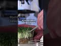 Dijital DNA Tehlikede! Genetik Veriler Hacklenebilir! #shorts #sibergüvenlik #dijitalgüvenlik
