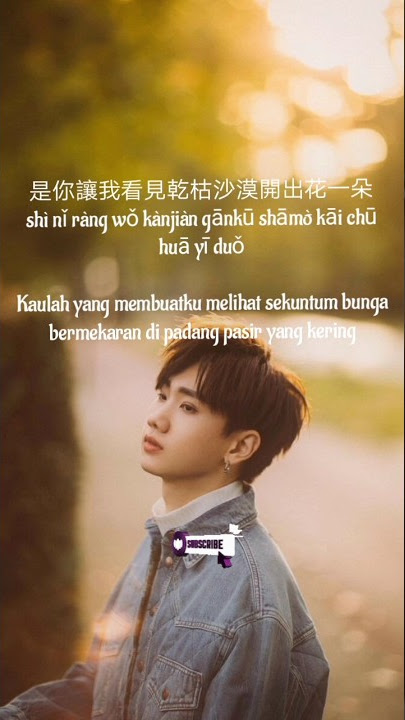 有点甜You Dian Tian A_Little_Sweet (Han/pinyin/indo) #silencewang #by2 #有点甜#chinesesong #shorts