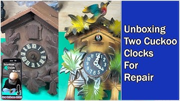 Unboxing Black Forest Cuckoo Clocks