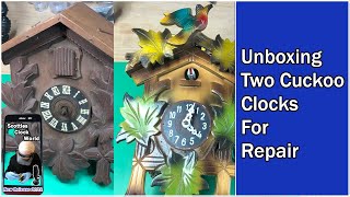 Unboxing Black Forest Cuckoo Clocks