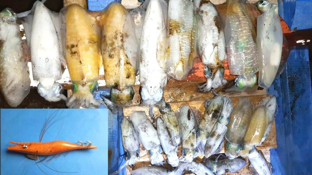 Cumi Itu Buta Warna....?? Uji Coba Squid Jig || Umpan Cumi Tanpa ...