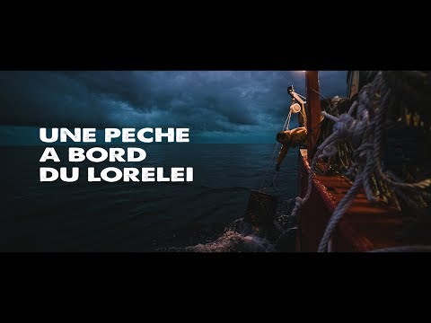 Une pêche à bord du Loreleï, un casayeur breton