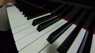 Video thumbnail of "Guaglione　arrangimento da pianoforte"