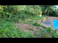 NEGLECTED backyard gets a HUGE makeover with Upstate Brush Control