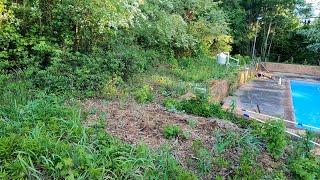 NEGLECTED backyard gets a HUGE makeover with Upstate Brush Control