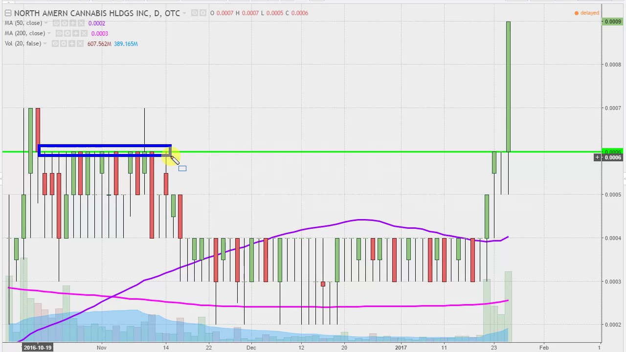 Usmj Stock Chart