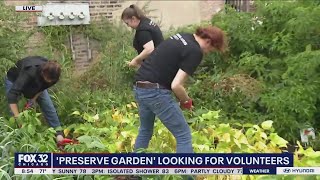 How does preServe garden grow in North Lawndale? Very well, thank you