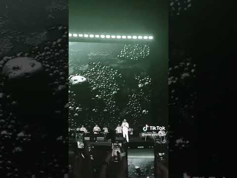 كان نفسنا نعيش كل حاجة تامر عاشور