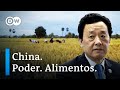 La influencia china en la fao  dw documental