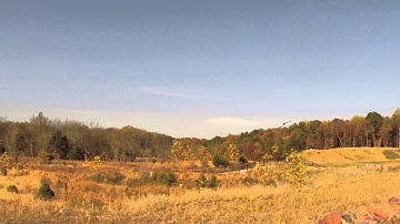 Align 600EFL Pro - New Camera Test