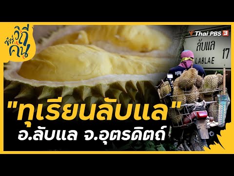  ร้าน เพื่อ ชีวิต กระบี่