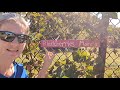 Fence - Oct 21, 2023. need more blackberries/moras signs