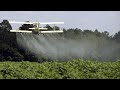 Швейцарцы решат судьбу пестицидов