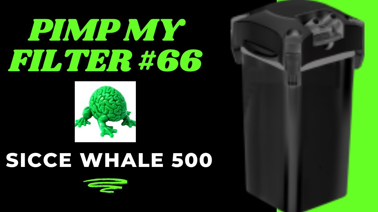 Фильтр Pimp My #66 — обновление фильтра-контейнера Sicce Whale 500