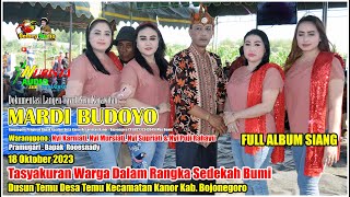 TAYUB SEDEKAH BUMI DESA TEMU KEC  KANOR BOJONEGORO SIANG