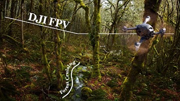 Forest Cruising with the DJI FPV