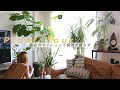 【植物と暮らす】plant tour | 都会のマンション暮らし| 部屋の模様替え