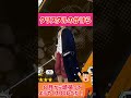 【簡単解説】クリスタルのかけら【バウンティラッシュ】