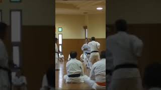 #martialarts #karate #okinawakarate #shorinryu #kata #bunkai