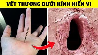 55 Sự Thật Điên Rồ Về Thế Giới | Bạn Phải Kiểm Tra 2 Lần Mới Tin