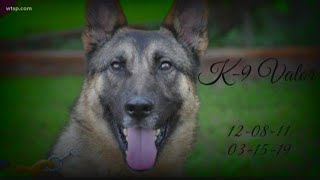 'Valor became family.' Florida law enforcement officers bid a sad farewell to K-9