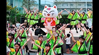 奇祭 猫おどり で２万人が にゃー Youtube