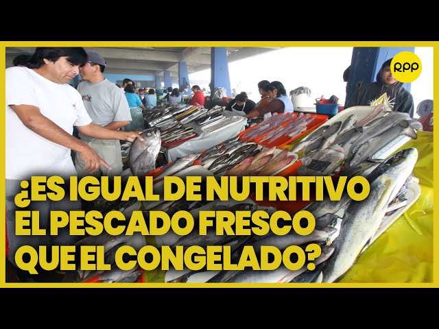 El pescado congelado es igual de nutritivo que el fresco? - Cutivalú Piura