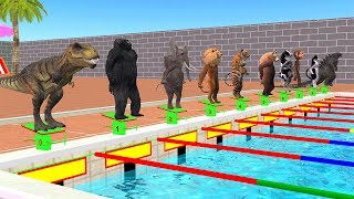 Wild Zoo Animals Swimming Pool Race Funny Videos For Kids Wild Zoo Animals Swimming Pool Race Funny Videos For Kids