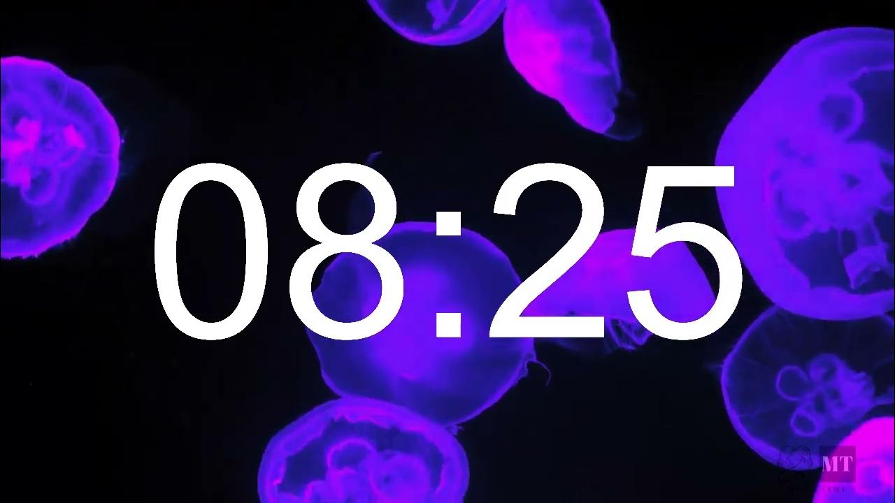 15 Minute lofi hip hop relaxing jellyfish timer escape. YouTube