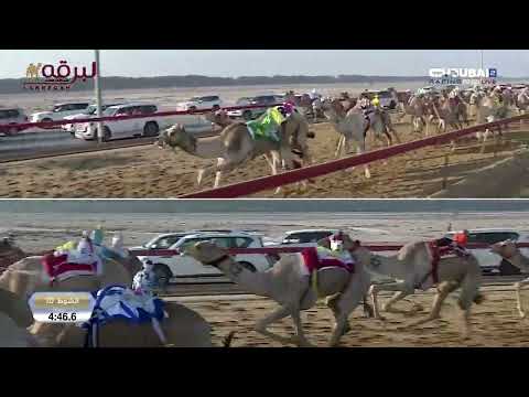 ش10 غارة ل نواف مهراس جابر الجدي الهاجري تأهيل المرموم الرابع 25 10 2025 لقايا بكار مهجنات 5 59 4