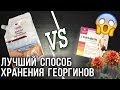 КАК ХРАНИТЬ ГЕОРГИНЫ? Два надежных способа!