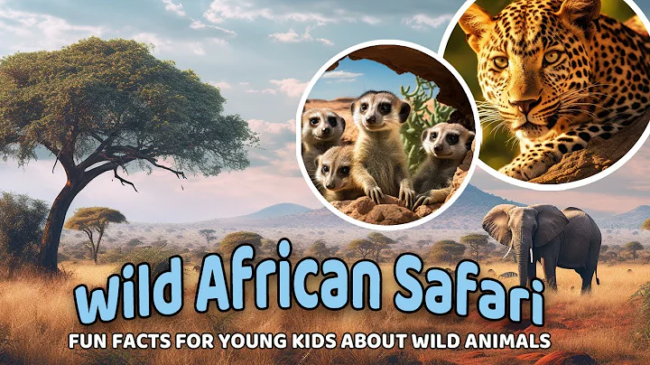 Leopards, Hippos, Baboons and more African Safari Animals 🦁🐘🌍