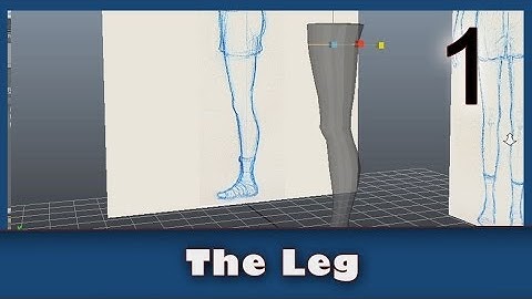 Model a Leg using Maya