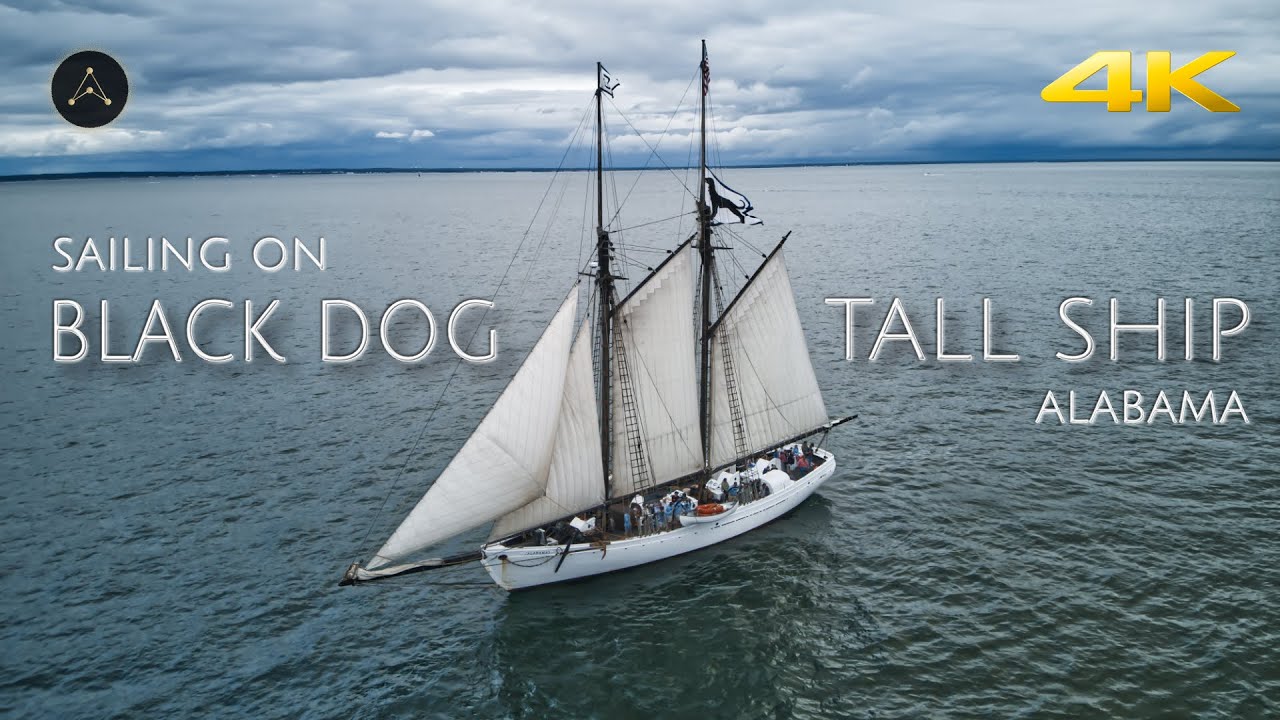 GONE SAILING - Black Dog ALABAMA (Aerial Sailing Footage) | 2021