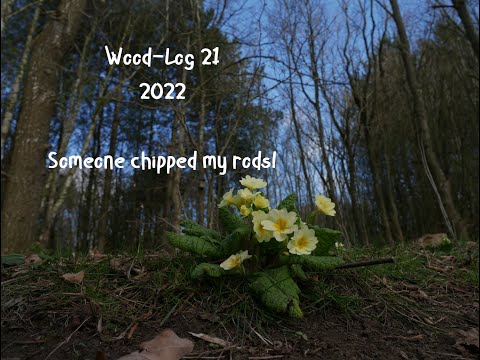 Woodland Vlog #21 2022, Coppice Regrowth, Footballers Legs, Trip to Suffolk, Patreon Buy me a Coffee