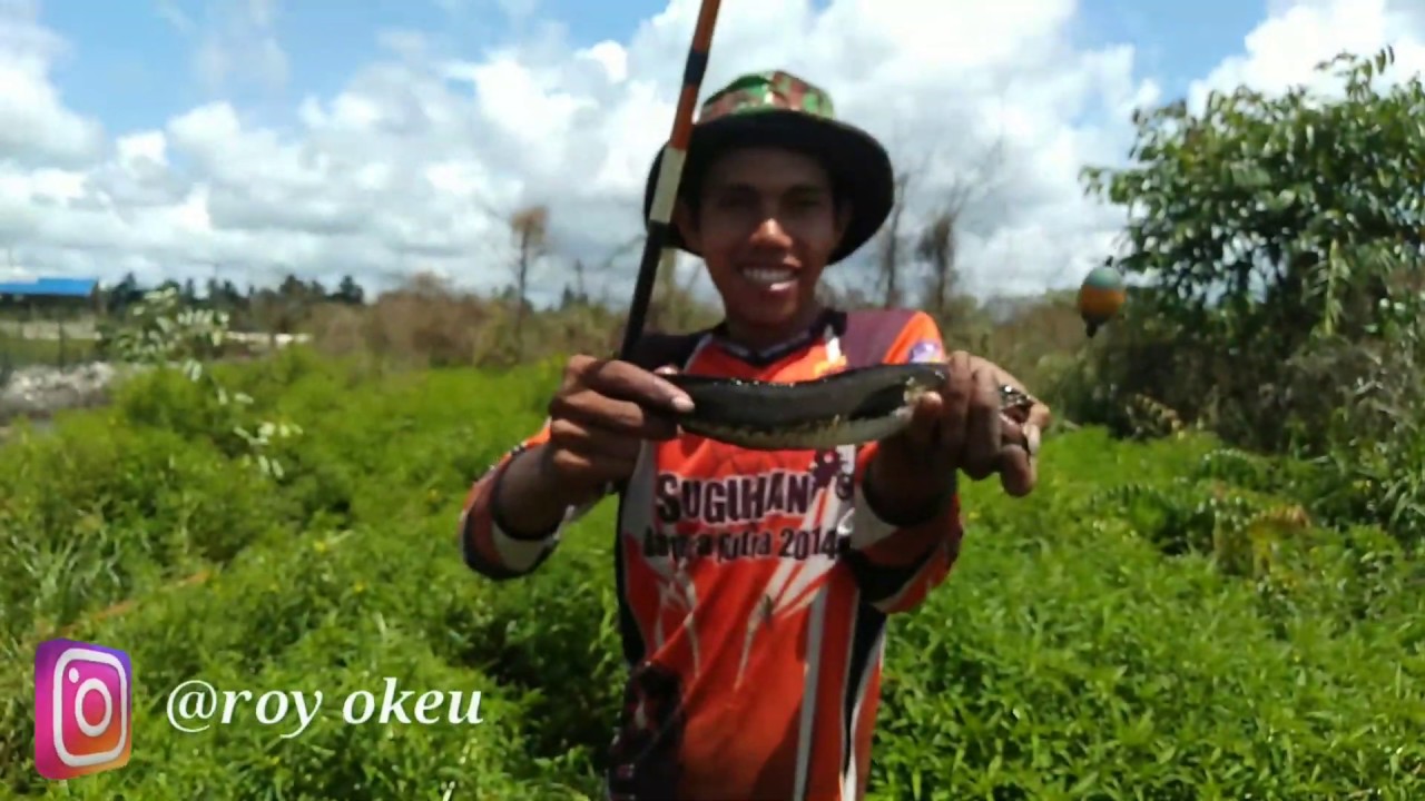 Mancing Seru