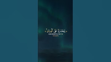 يا حسرة على العباد || القارئ شريف مصطفى🤍✨