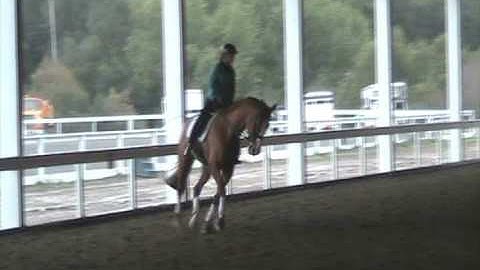 Dressage exercise: 4 loop trot serpentine. 2008 Ivetta Harte riding her mare Zena